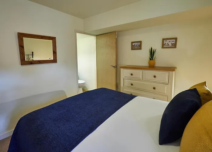 Host & - Widger Mews