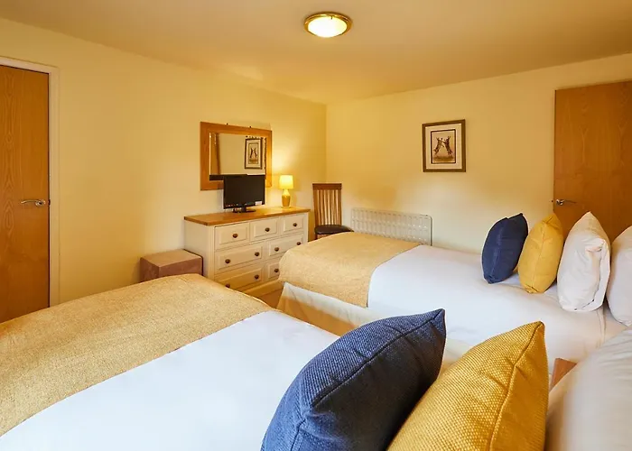 Host & - Widger Mews